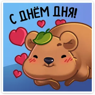 🤷‍♀️ С днём дня! Bär, Herzen, Gruß, niedlich, Tier whatsapp sticker