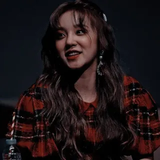 ⚔ 여자, 소녀, 인물, 체크무늬, 패션, 아름다움 telegram sticker
