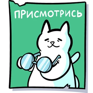 🧐 ПРИСМОТРИСЬ cat, glasses, look, cute, animal, sticker telegram sticker