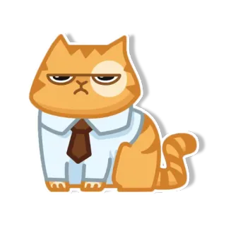 😐 gato, oficina, naranja, corbata, enojado telegram sticker