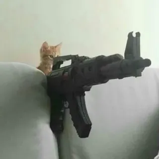 🔫 cat, kitten, gun, weapon, toy, cute, animal telegram sticker