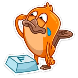 😤 F Kreskówka, Zwierzę, Ptak, Smutny, Klawiatura, Komputer telegram sticker