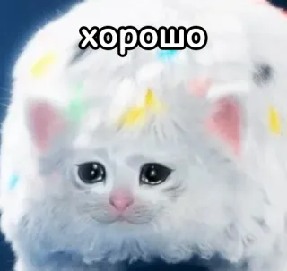 👌 хорошо Katze, süß, Meme, russisch, flauschig, Kätzchen telegram sticker