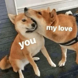 🐕 you my love perro, shiba inu, amor, amistad, cariño, animal whatsapp sticker