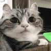 😳
