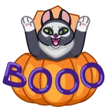 🎃 BOOO gatto, zucca, halloween, spaventoso, bu telegram sticker