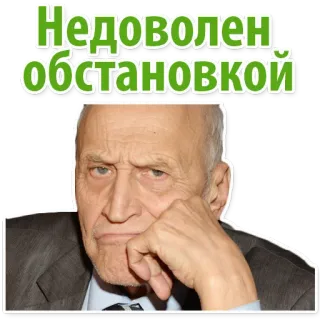 Animalist @stickersb2b telegram stickers