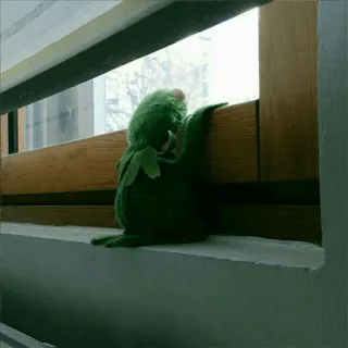 🐸 Kermit Kermit, o Sapo, Janela, Verde, Muppet, Sozinho, Triste whatsapp sticker