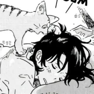 🌼 Katze, Person, Schlafend, Anime, Manga telegram sticker