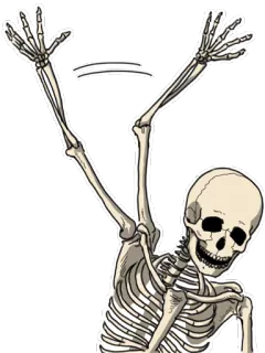 👋 โครงกระดูก, กระดูก, กายวิภาคศาสตร์, ฮาโลวีน, น่ากลัว, ความตาย telegram sticker