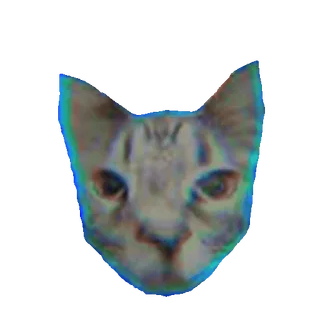 🐱