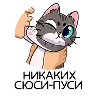 🙅‍♂️ НИКАКИХ СЮСИ-ПУСИ chat, autocollant, mignon, drôle, mème whatsapp sticker