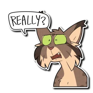 💬 REALLY? Katze, Sticker, Cartoon, Ausdruck, wirklich, Frage telegram sticker