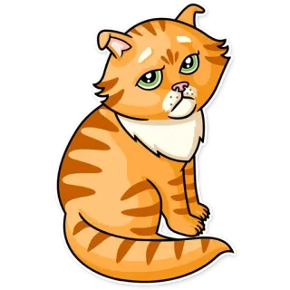 😕 gato, gatinho, animal de estimação, animal, fofo, laranja, doméstico telegram sticker