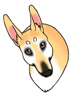 😐 anjing, hewan peliharaan, binatang, anjing, ilustrasi, stiker, hewan peliharaan, mamalia telegram sticker
