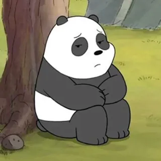 🚊 Panda We Bare Bears Панда, We Bare Bears, Мультфильм, Грустный, Одинокий, Сидящий whatsapp sticker