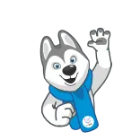 🙋♂️ Husky, Chó, Khăn quàng cổ, Hoạt hình, Động vật, Linh vật, Lời chào telegram sticker
