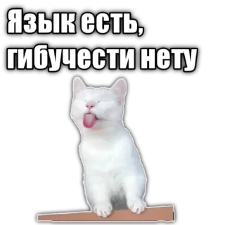 👅 Язык есть, гибучести нету cat, tongue, funny, meme, russian, text telegram sticker
