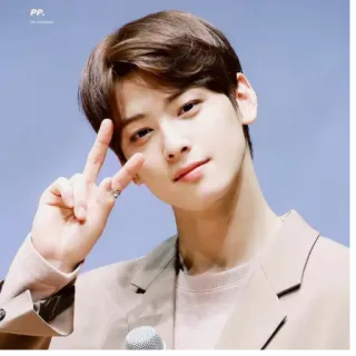 ✌️ Cha Eun-woo kpop, idol, asiatique, célébrité, signe de paix whatsapp sticker