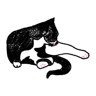 😐 gatto, gattino, animale domestico, animale, bianco e nero, carino, domestico telegram sticker