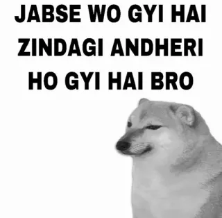 😂 Cheems Doge JABSE WO GYI HAI ZINDAGI ANDHERI HO GYI HAI BRO cheems, doge, sad, meme, breakup, depression, funny, relatable, lonely telegram sticker