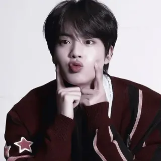 🌟 Jin kpop, cantante, idol, carino, fan telegram sticker