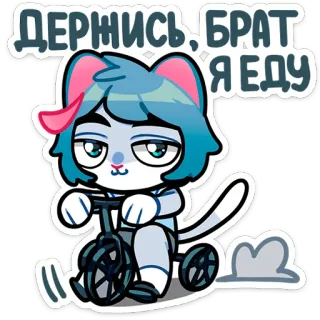 🏃‍♀ ДЕРЖИСЬ, БРАТ. Я ЕДУ kot, zwierzę, naklejka, kreskówka, rower, jazda telegram sticker