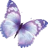 🦋
