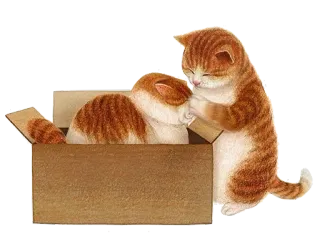 🙂 고양이, 새끼 고양이, 상자, 귀여운, 동물 telegram sticker