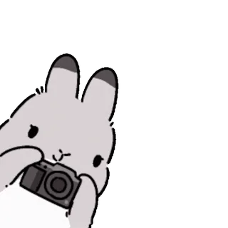 ๐ rabbit telegram sticker