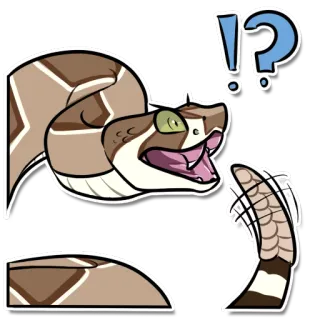 ⁉ serpiente, pregunta, animal, dibujos animados whatsapp sticker