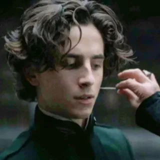 😐 Paul Atreides Dune Dune, Timothée Chalamet, Paul Atreides, movie, sci-fi telegram sticker