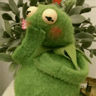 🐸 verde, rã, fantoche, fofo, bicho de pelúcia, kermit whatsapp sticker