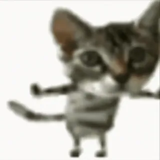 🤩 chat, animal, drôle, mignon, debout, mème whatsapp sticker