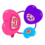😀 abstrakt, Cartoon, bunt, Illustration, niedlich, Herz telegram sticker