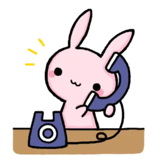 📞 lapin, téléphone, communication, mignon, dessin animé whatsapp sticker