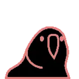 😊 попугай, птица, животное, милый, мультик whatsapp sticker