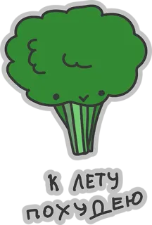 ❤ К ЛЕТУ ПОХУДЕЮ brócoli, comida, lindo, dibujos animados, verdura, dieta, pérdida de peso whatsapp sticker