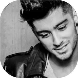 😃 Zayn Malik zayn malik, zanger, beroemdheid, portret, persoon, zwart wit telegram sticker