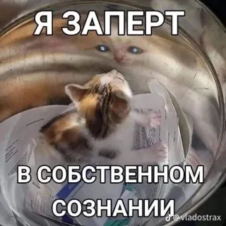 😣 Я ЗАПЕРТ В СОБСТВЕННОМ СОЗНАНИИ telegram sticker