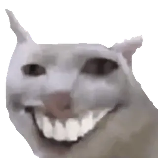 😂 chat, mème, drôle, animal, créature, sourire telegram sticker