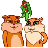 Squirrel telegram stickers