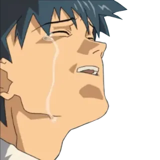 😭 动漫, 哭, 悲伤, 情绪化, 含泪 telegram sticker