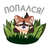 ❗️ guaxinim, animal, natureza, fofo, grama, desenho animado telegram sticker