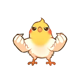 😠 oiseau, muscles, fort, dessin animé, animal, mignon whatsapp sticker