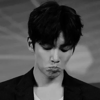 🗝 男人, 韩国, 演员, 黑白, 肖像, 嘟嘴 telegram sticker