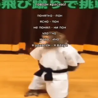 💪 говори красиво!
понятно пон
ясно пон
не понял ни пон
что чо
и что ичо
я удивленя вахуй scimmia, karate, arti marziali, divertente, meme telegram sticker