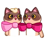 👫 chats, noeuds, mignon, animaux, animaux de compagnie whatsapp sticker