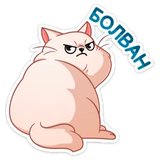 😡 БОЛВАН кот, сердитый, русский, стикер telegram sticker