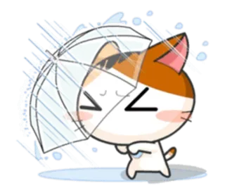 ☔ chat, parapluie, pluie, kawaii, mignon, dessin animé whatsapp sticker